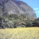 디지털 카메라 (DSLR) 100 활용하기 | 스냅롤카메라 레트로 감성디카 미니카메라 사용 후기