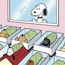 광화문상회 이미지