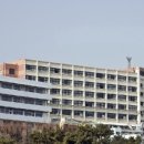 부산디지털고1 이미지