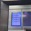 롯데월드 아쿠아리움 아이랑 후기 : 20·22년생 데리고 가도 괜찮을까 솔직정리