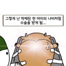 상쾌한병원 | 치질수술..(포항 상쾌한항구병원)