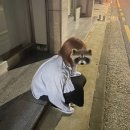 늘봄날헤어 - 밀양시 가곡7길 20 | 탈색, 브라운 계열 염색 후기- 청량리 봄날헤어