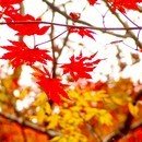 천금산업 이미지