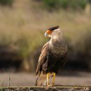 국민여가캠핑장 캠핑장 이미지