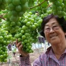 예은농장 이미지