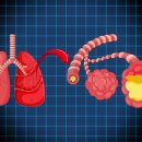 다나을동물병원 이미지