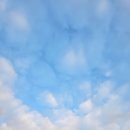 TEAM 에이스 | 내일로 이어지는 징검다리