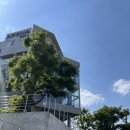[ 경주 감포 나정고운모래해수욕장 앞 브런치 즐길수 있는 대형 카페 아레나피나 ]