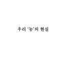 항꾸네협동조합