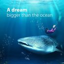 아쿠아플라넷 제주 이미지