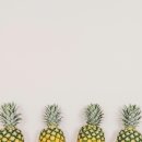 차오르다의원 이미지