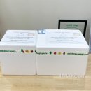 호텔그린빌리지교육문화회관 | 행사 주스 케이터링 후기｜오렌지·그린 착즙주스, 단골이 되는 기준