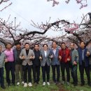 경산둥지과수영농조합법인 네이버블로그