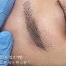 브로바이쥬 이미지