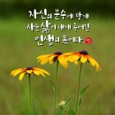 삶의 몫 김용덕 시인 이미지