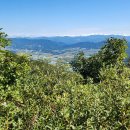 해안면사무소 이미지