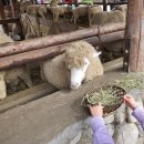 수향모텔 이미지