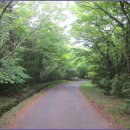 서귀포자연휴양림3 이미지