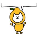 경희보감