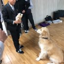 인천당하중학교 이미지