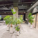 SG스크린골프 이미지