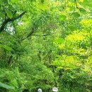 용강목장 이미지