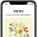 애플 이미지