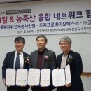 돼지와 건강 이미지