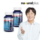 1305 이미지