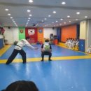 용인대스카이태권도 이미지