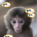 한솔마트 나들가게 | [영월 여행 2일차] 영월 은하수 투어, 동강다슬기, 영월소금빵, 영월장릉, 부뚜막초계국수, 덕포오일장...