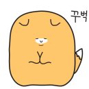 카젠(주안점) 네이버블로그