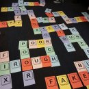 [기초] 성인영어 이미지