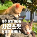 더퍼즈플레이스 이미지