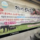돈돈가마솥생삼겹살
