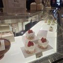 영암고속(주) | [신세계 강남/스위트파크/고속버스터미널] 터앗 팝업 방문 후기 (미금역 디저트맛집/글루텐프리/ 쌀케이크)