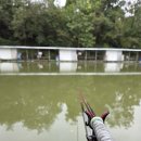 입큰붕어낚시터 이미지