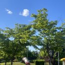 제44호 어린이공원 | 김포 아기랑 피크닉 걸포중앙공원 / 풍무 제44호 어린이 공원 물놀이터