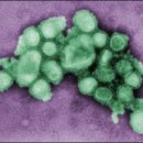 (주)이건약품 이미지