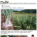 궁골 농장 이미지