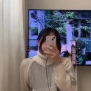 2025 뜨개 위시리스트ㅣ뜨개 도안 추천