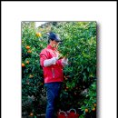 정환농장 이미지