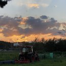 삼포슈퍼 이미지