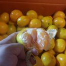 제주남원농협사업소 이미지