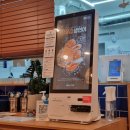 시와 캘리 | 광양 중마동 맛집 [슬로우캘리]솔직후기ㅣ중마동 샐러드 포케맛집ㅣ다이어트 유지어트 식단