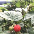 민재농장 이미지