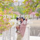 타이밍  포토 | 🌸경희대 국제캠퍼스 겹벚꽃 후기(실시간) / 포토스팟 위치 &amp; 겹벚꽃 명소, 맛집
