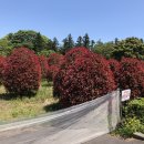 송하농장 이미지