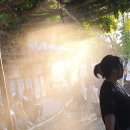 카스워시 이미지