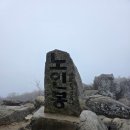 진고개로 | [진고개 노인봉]: 아이노닉9 차박+안개만 보고 온 실패 후기 😭